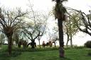 PROPRIETE DE 17 HECTARES DANS  LE TARN ET GARONNE
