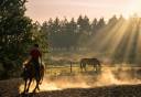 &Agrave; 10 min de Rennes - Propri&eacute;t&eacute; &Eacute;questre avec Maison Conte