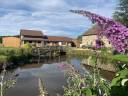 Ferme équestre paradisiaque historique, 12,4 ha, Manège