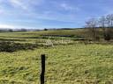 Recherche investisseur - 72 ha - Bourgogne