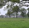 Haras 3 maisons 