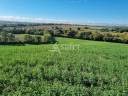 Propri&eacute;t&eacute; agricole  11 ha de terres cultivables  ESCORNE