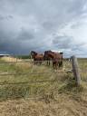 PROPRI&Eacute;T&Eacute; &Eacute;QUESTRE RARE -74 HECTARES - OUTIL PROFESSION